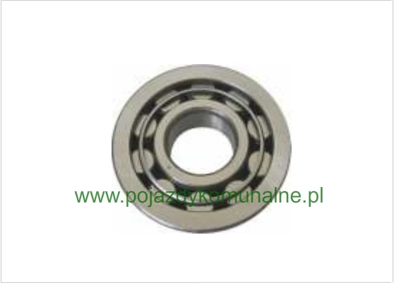 Łożysko WPS126-196 - strona napędowa