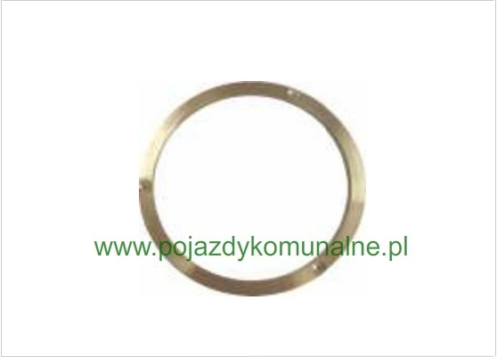 Pierścień rozruchowy WPS126-196