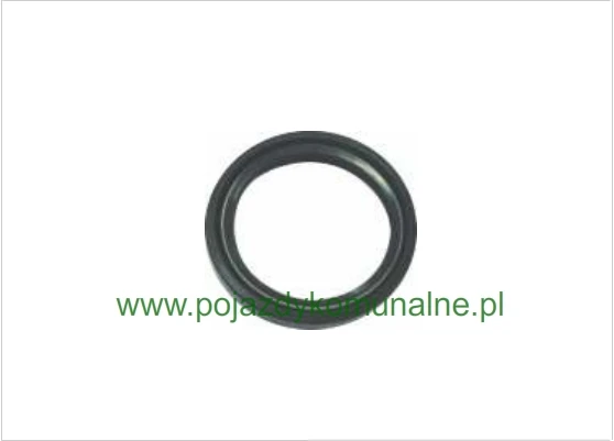 Uszczelnienie na wale WPS124-194