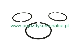 Pierścień zgarniający KD716