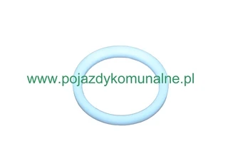 Uszczelniacz zaworu