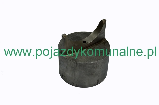 Kamień ślimacznicy 1
